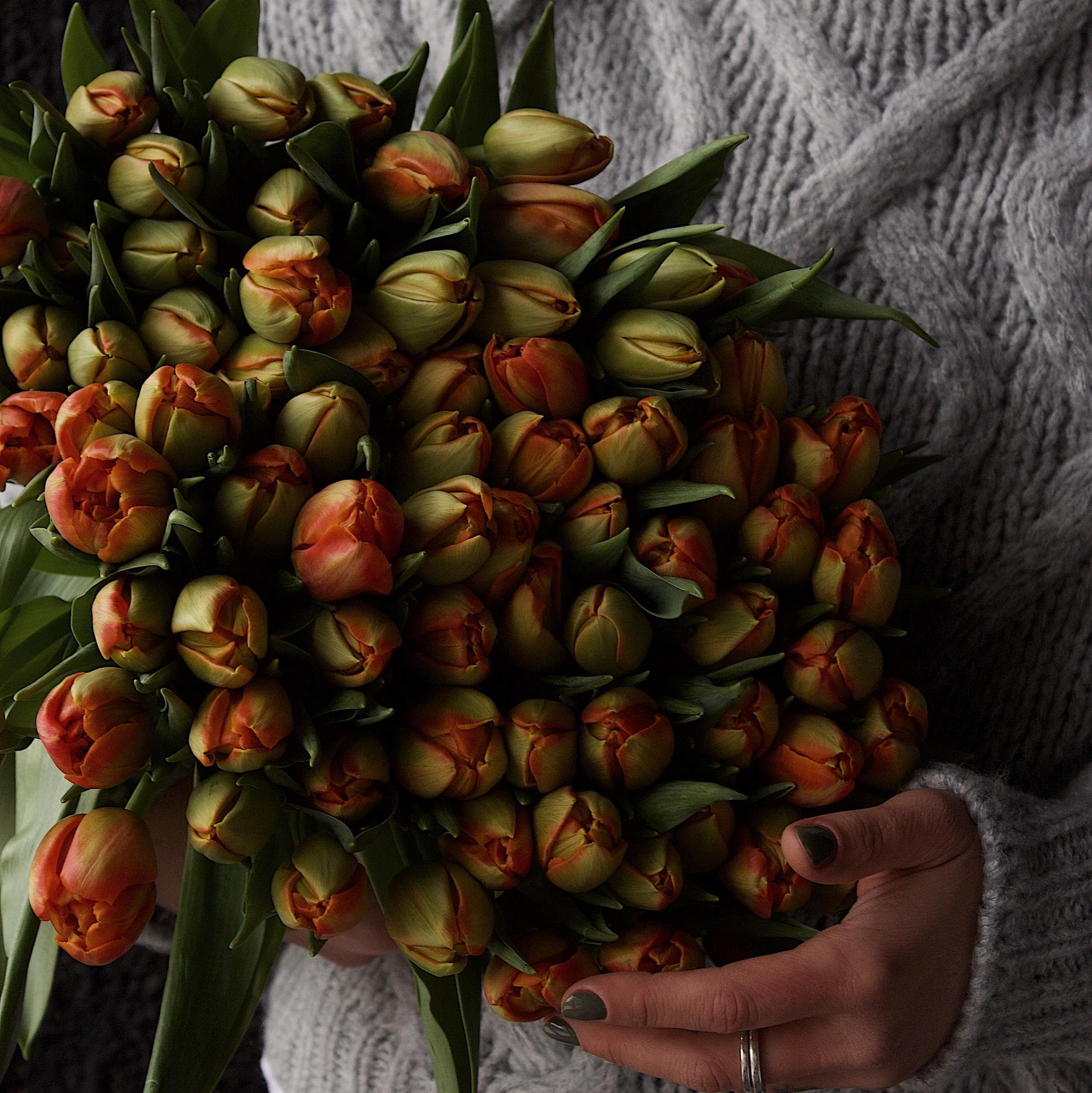 Букет тюльпанів var.7