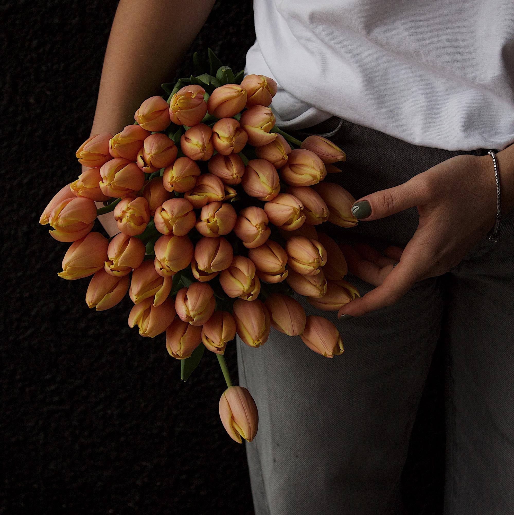 Букет тюльпанів var.8