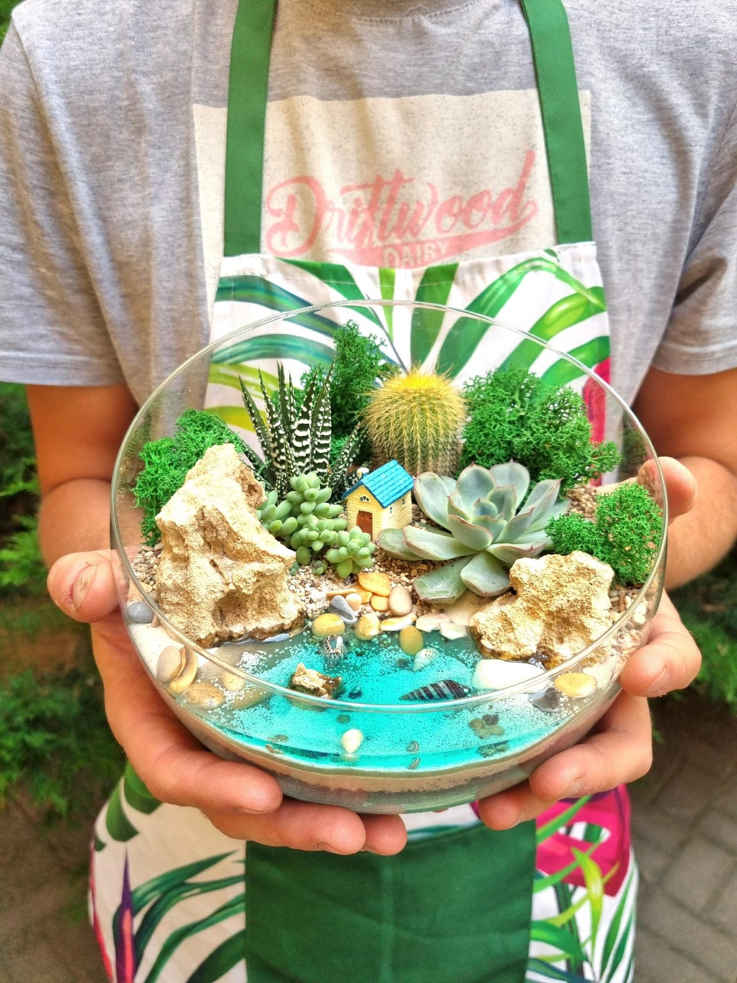 Суккуленты