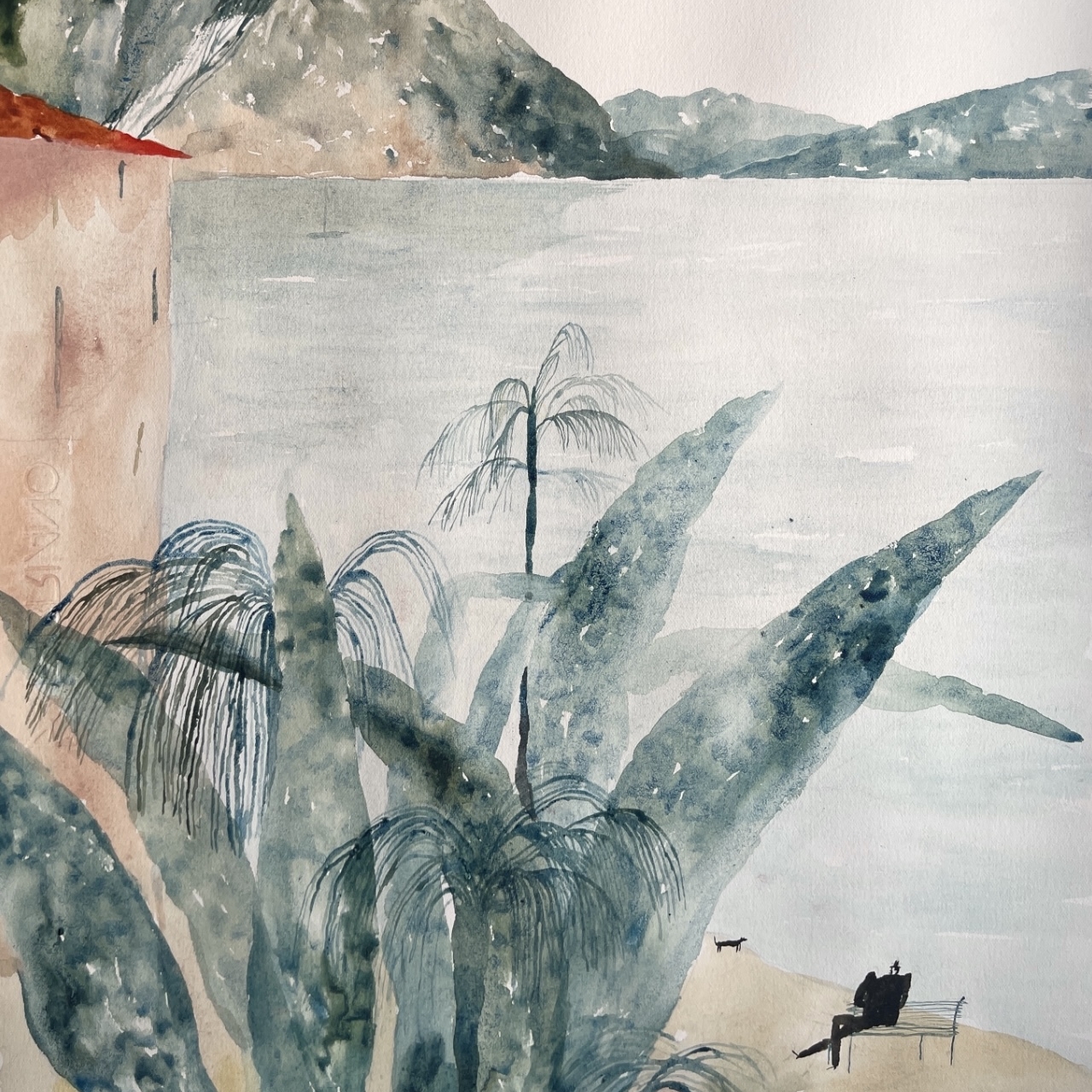 Original | Vista lago