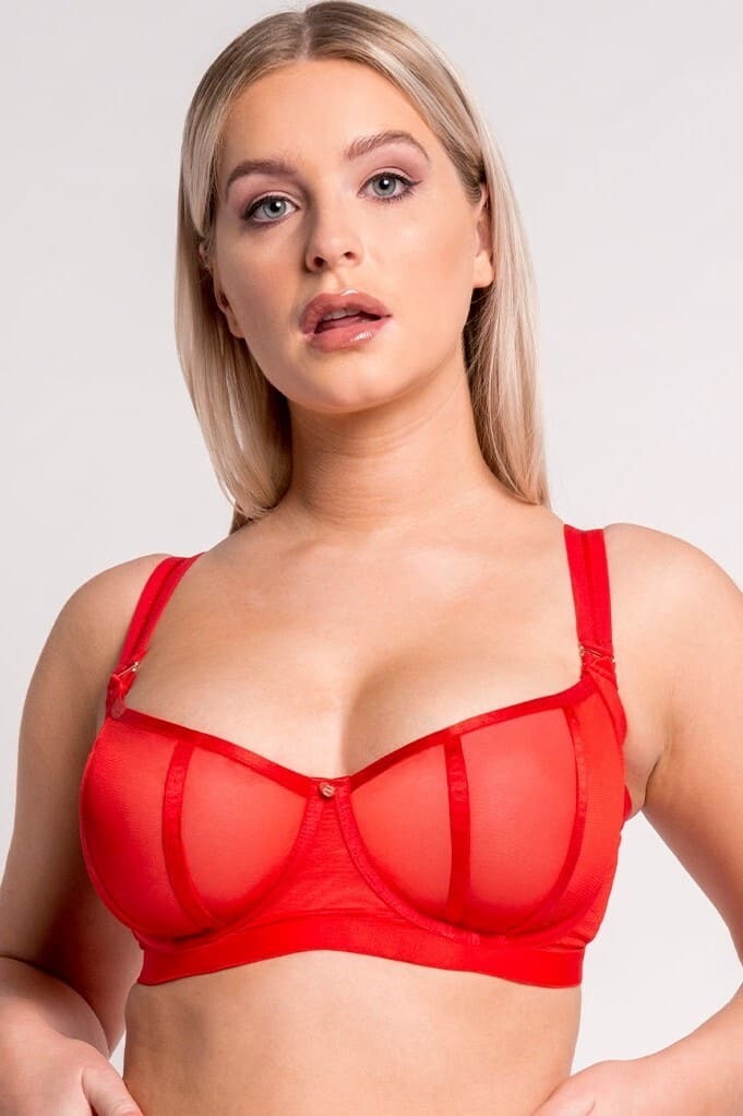 32F Bras by Scantilly by Curvy Kate
