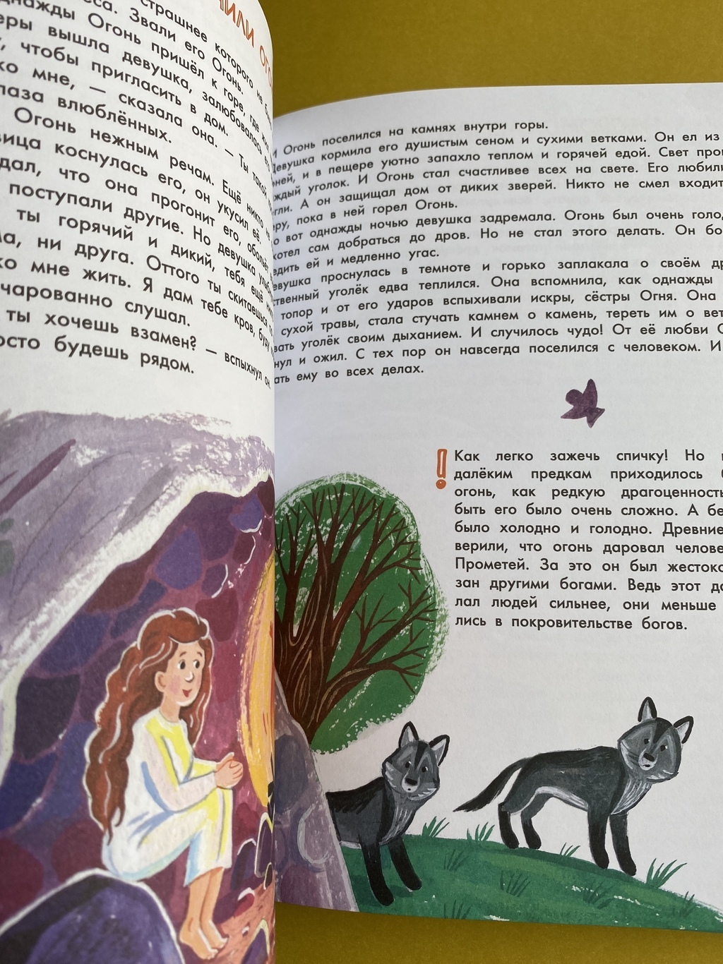 Крокосад (3-6 лет) > Первая энциклопедия в сказках купить в  интернет-магазине