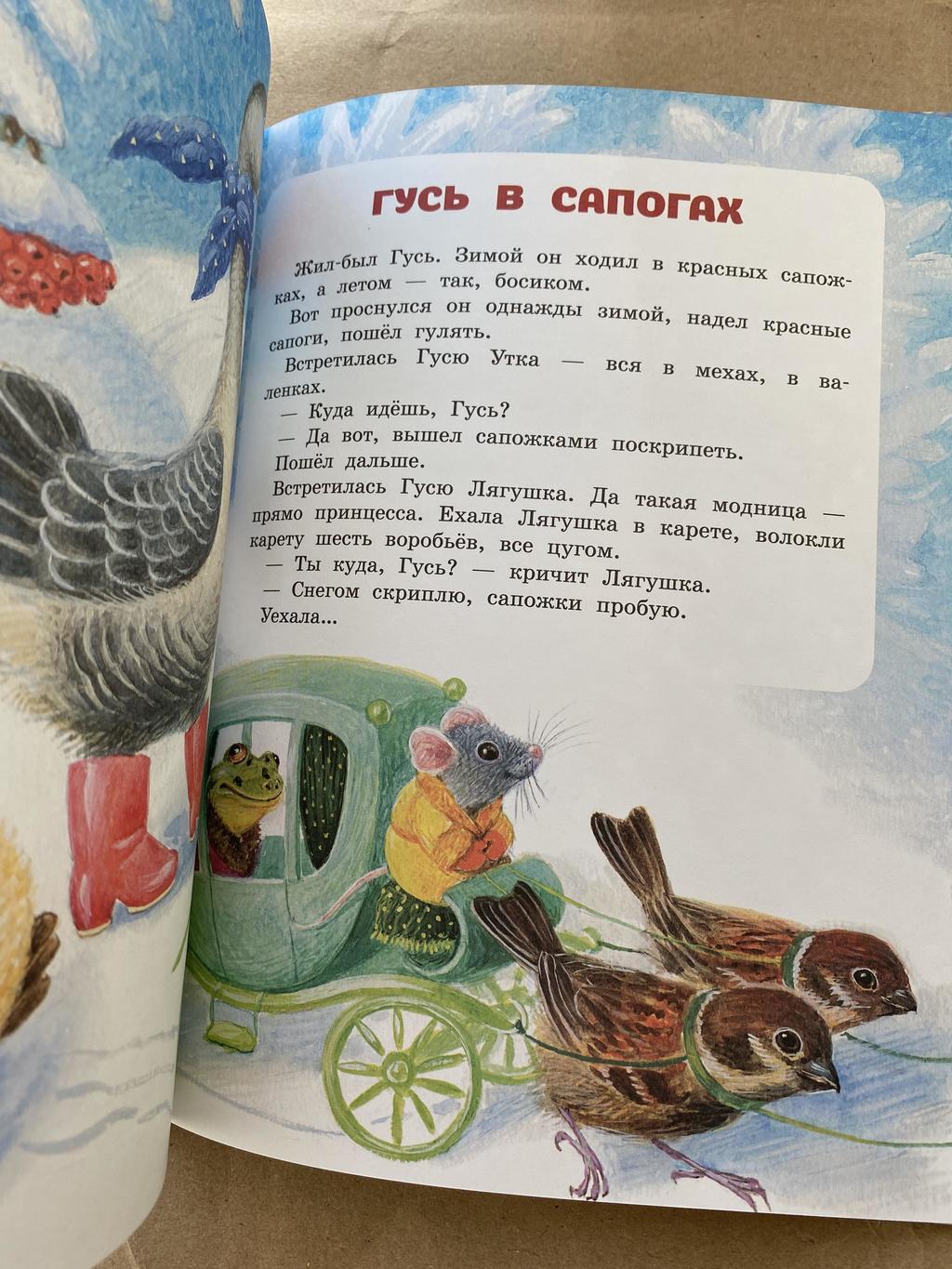 Из за шкафа вышел гусь