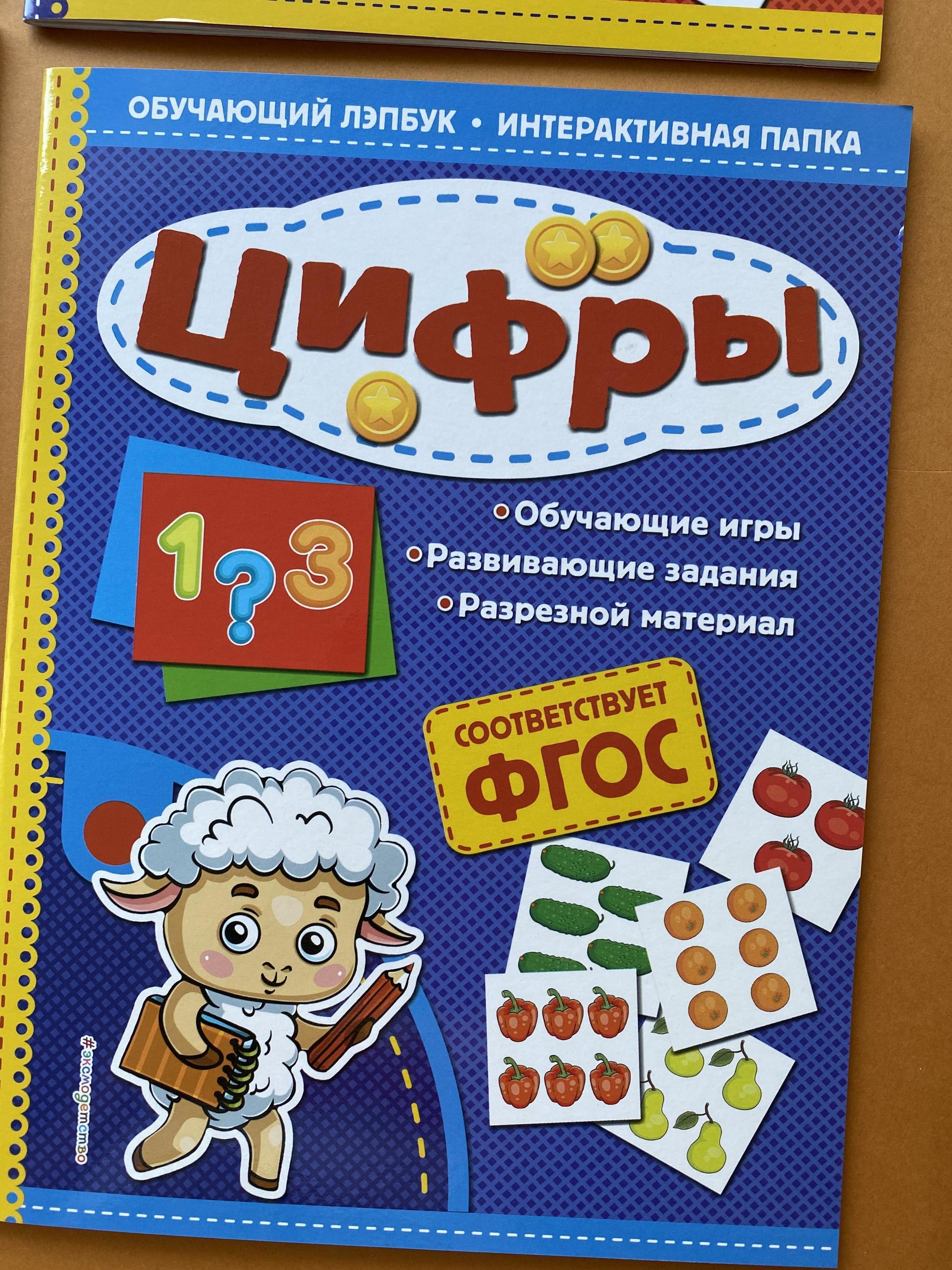 Все > Развивающий лэпбук. Обучающая папка купить в интернет-магазине