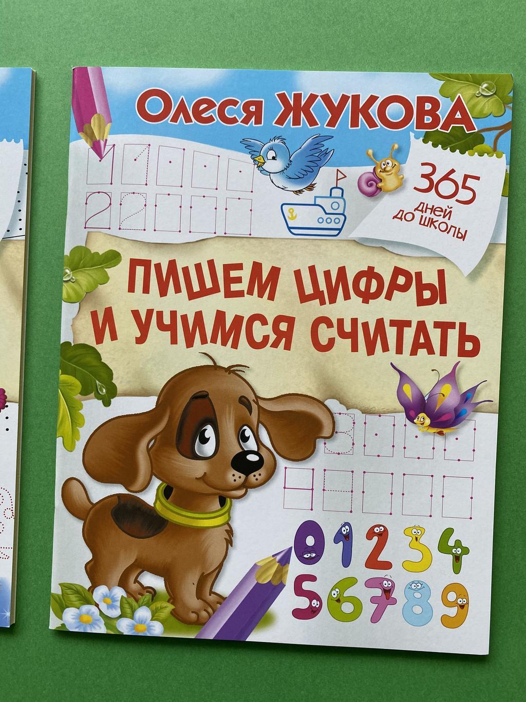 Пишем цифры и учимся считать Жукова