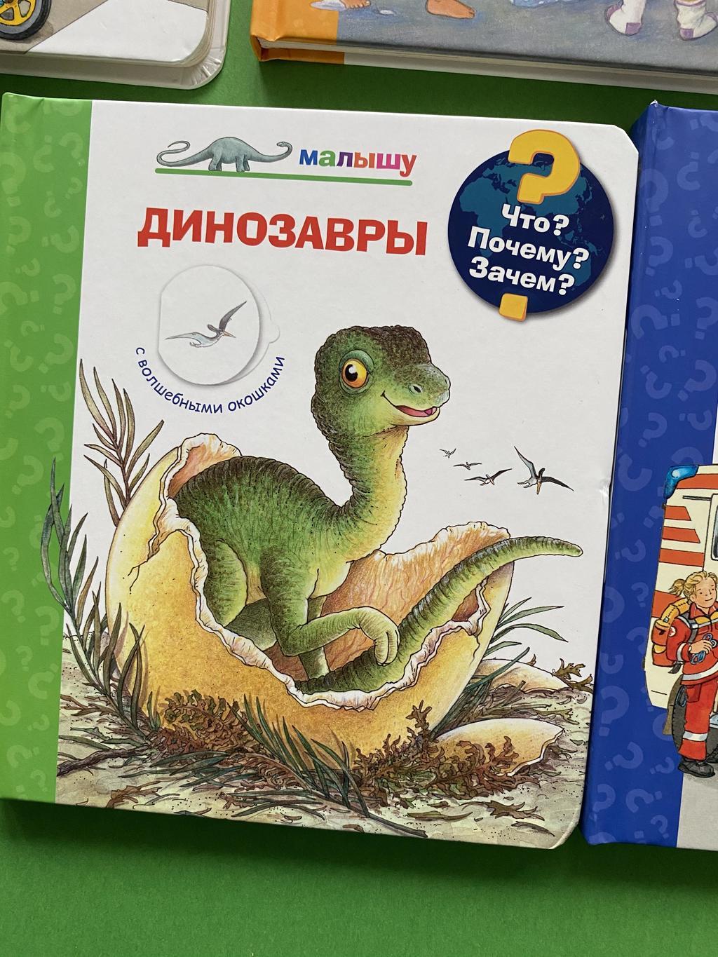 Динозавры (окошки)