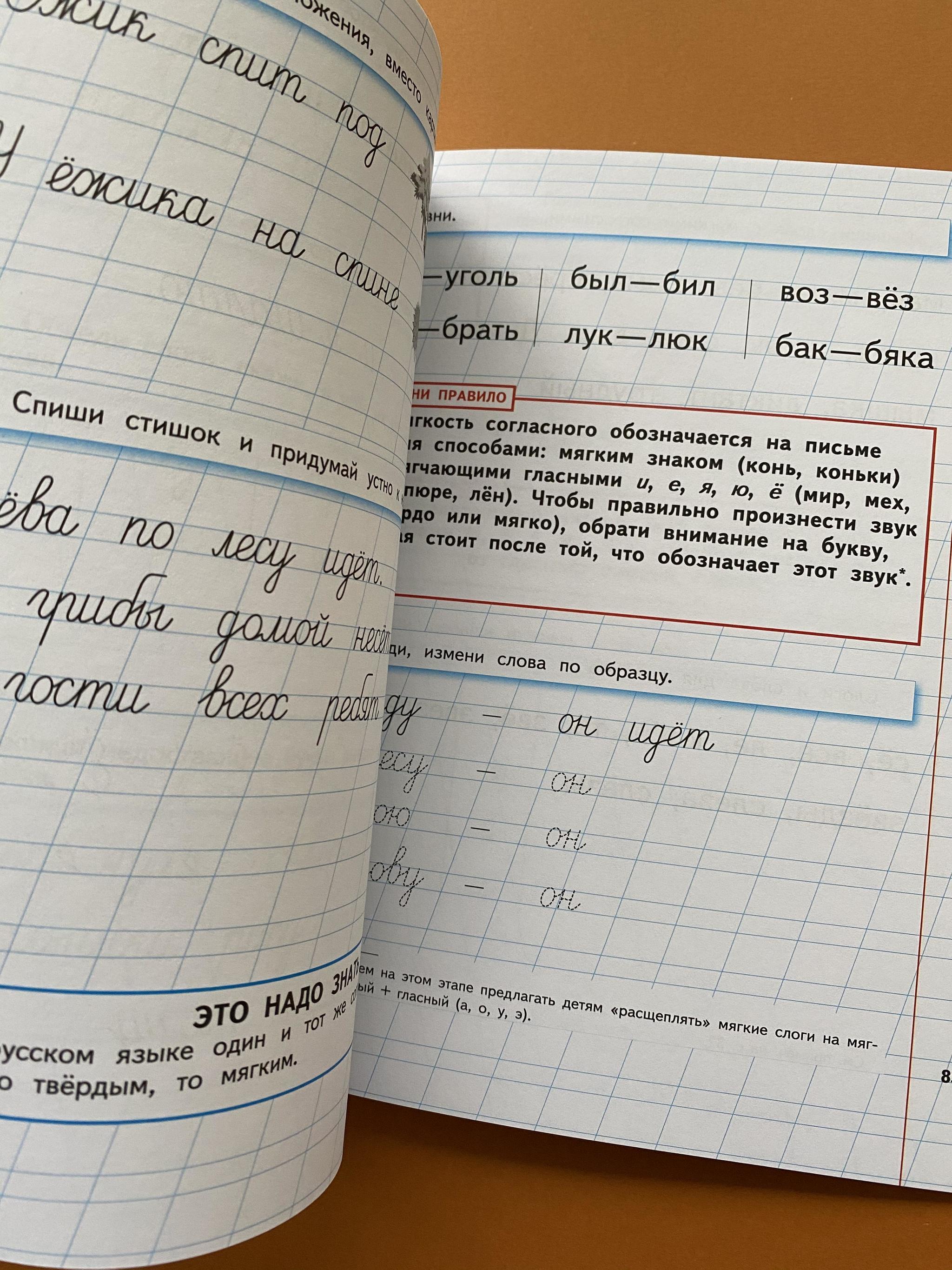 Все > Уроки чистописания и грамотности. Обучающие прописи купить в  интернет-магазине