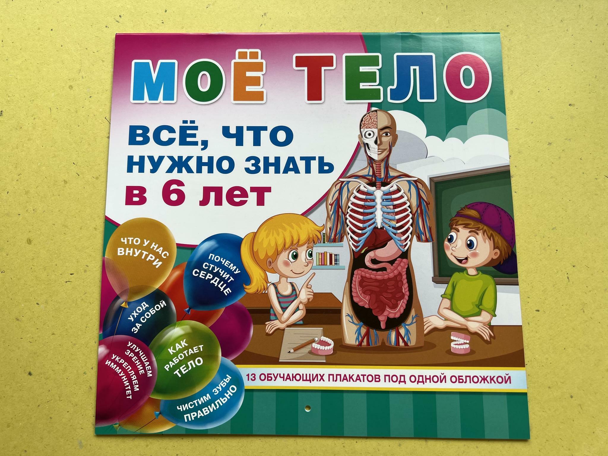 Все > Мое тело. Все, что нужно знать малышу. Плакат купить в  интернет-магазине