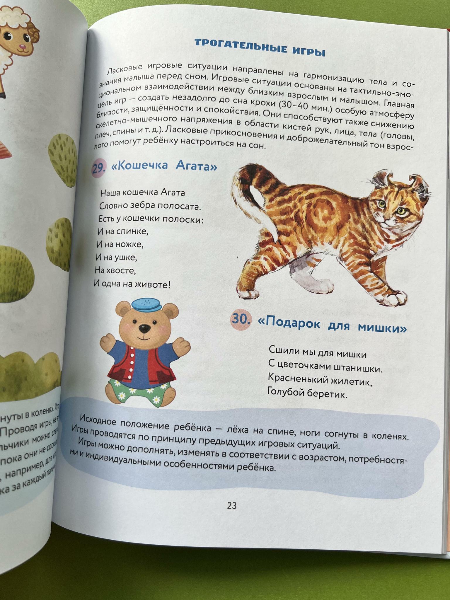 Все > Засыпай-ка. 100 игр потянушек, которые помогут малышу заснуть купить  в интернет-магазине