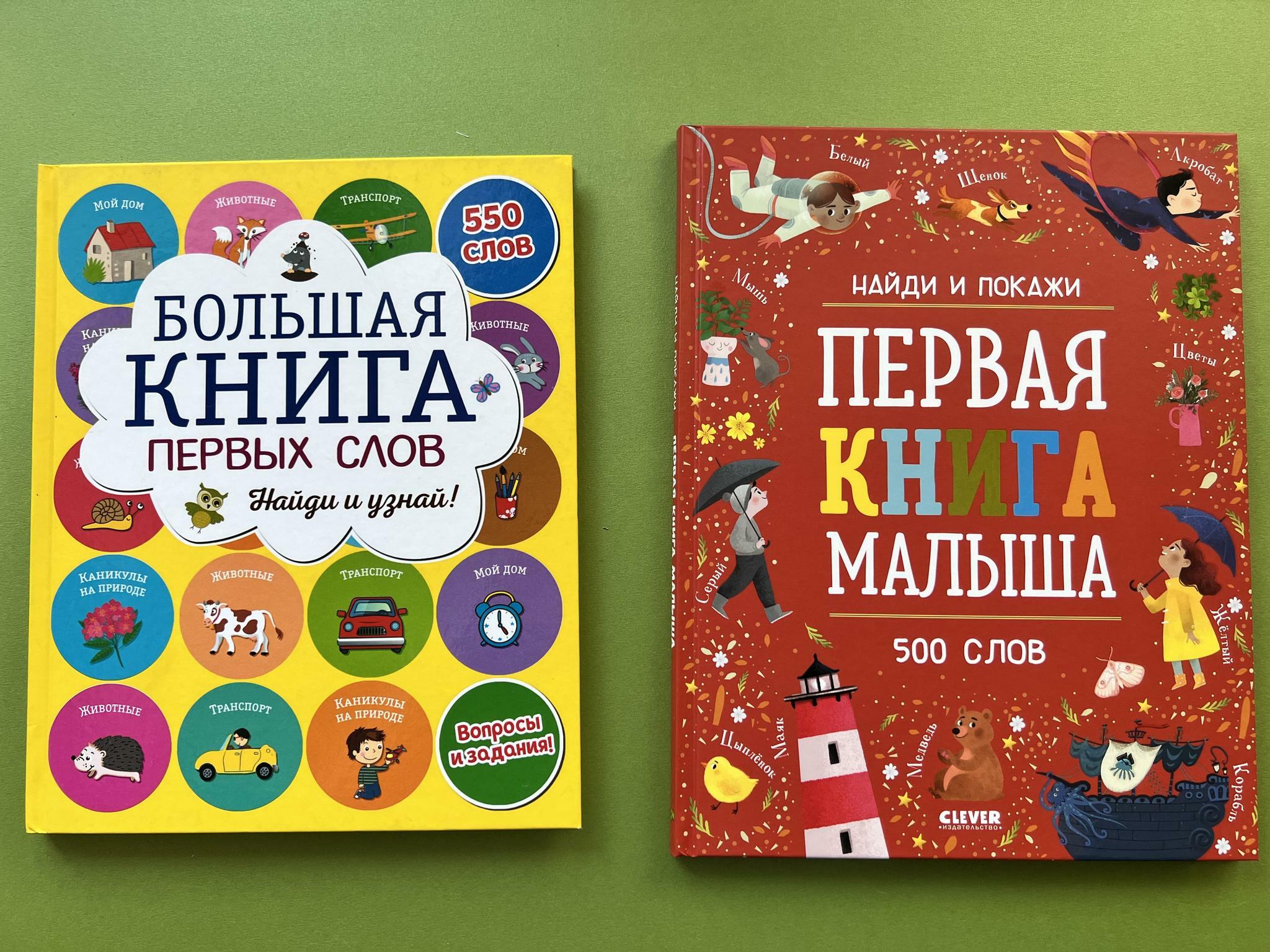 Все > Большая книга первых слов. Найди и покажи купить в интернет-магазине