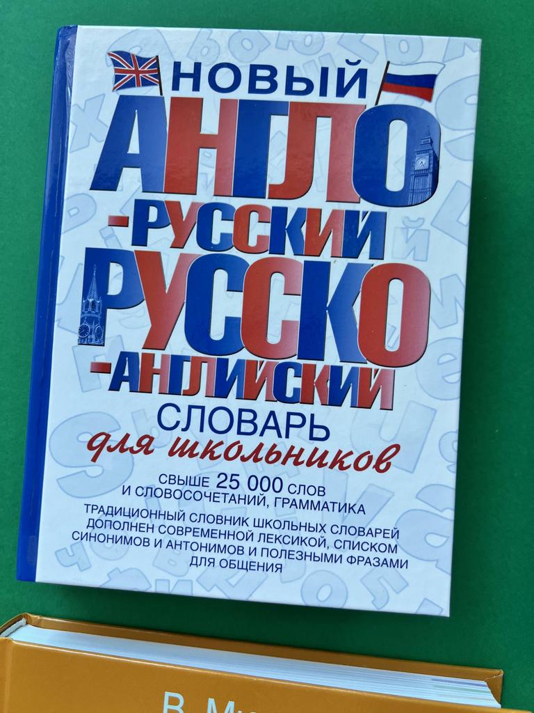 Новый англо-русский. Русско-английский словарь для школьников