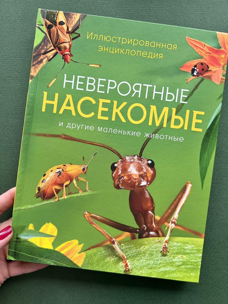 Невероятные насекомые и другие маленькие животные