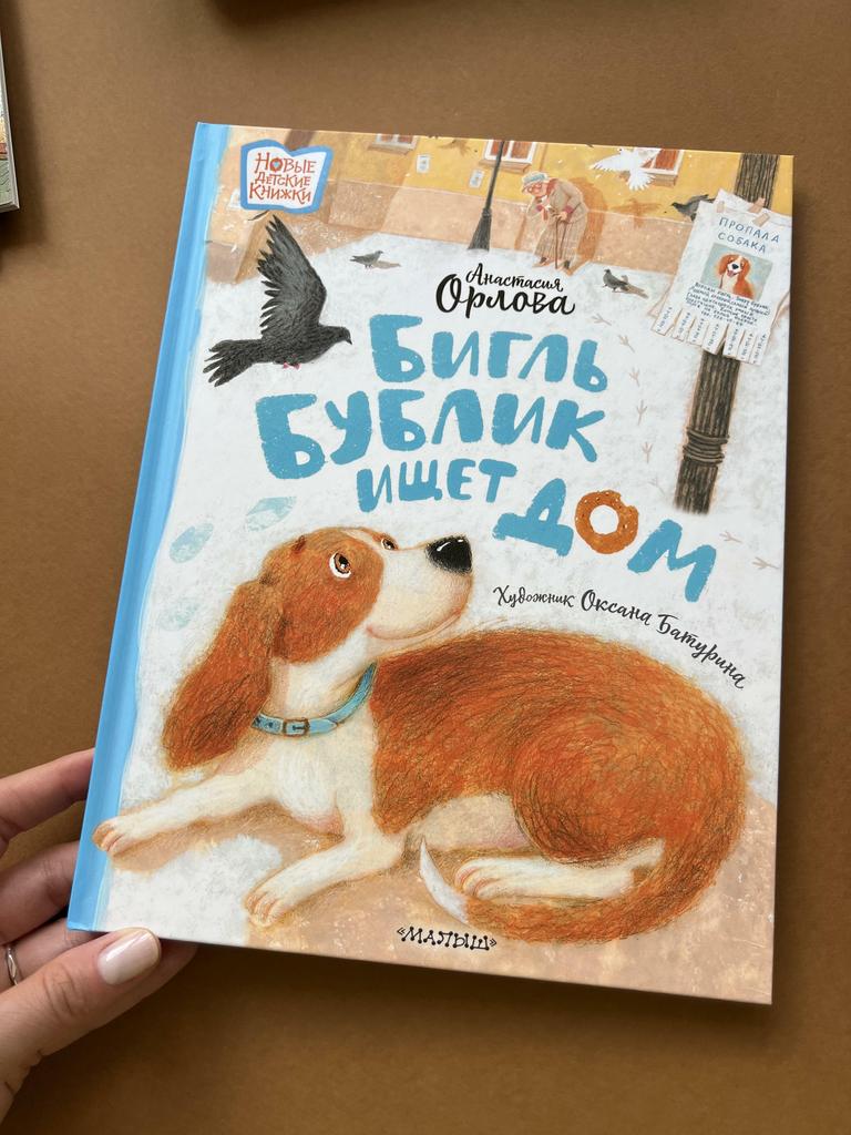 Бигль Бублик ищет дом