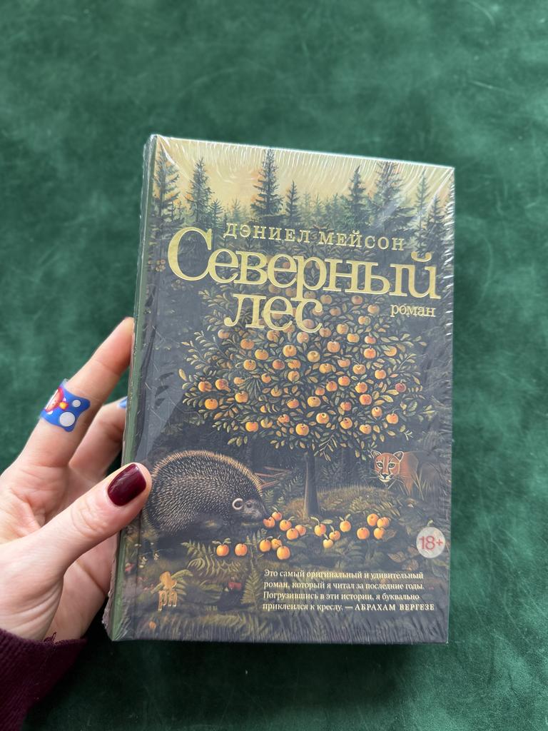 Северный лес