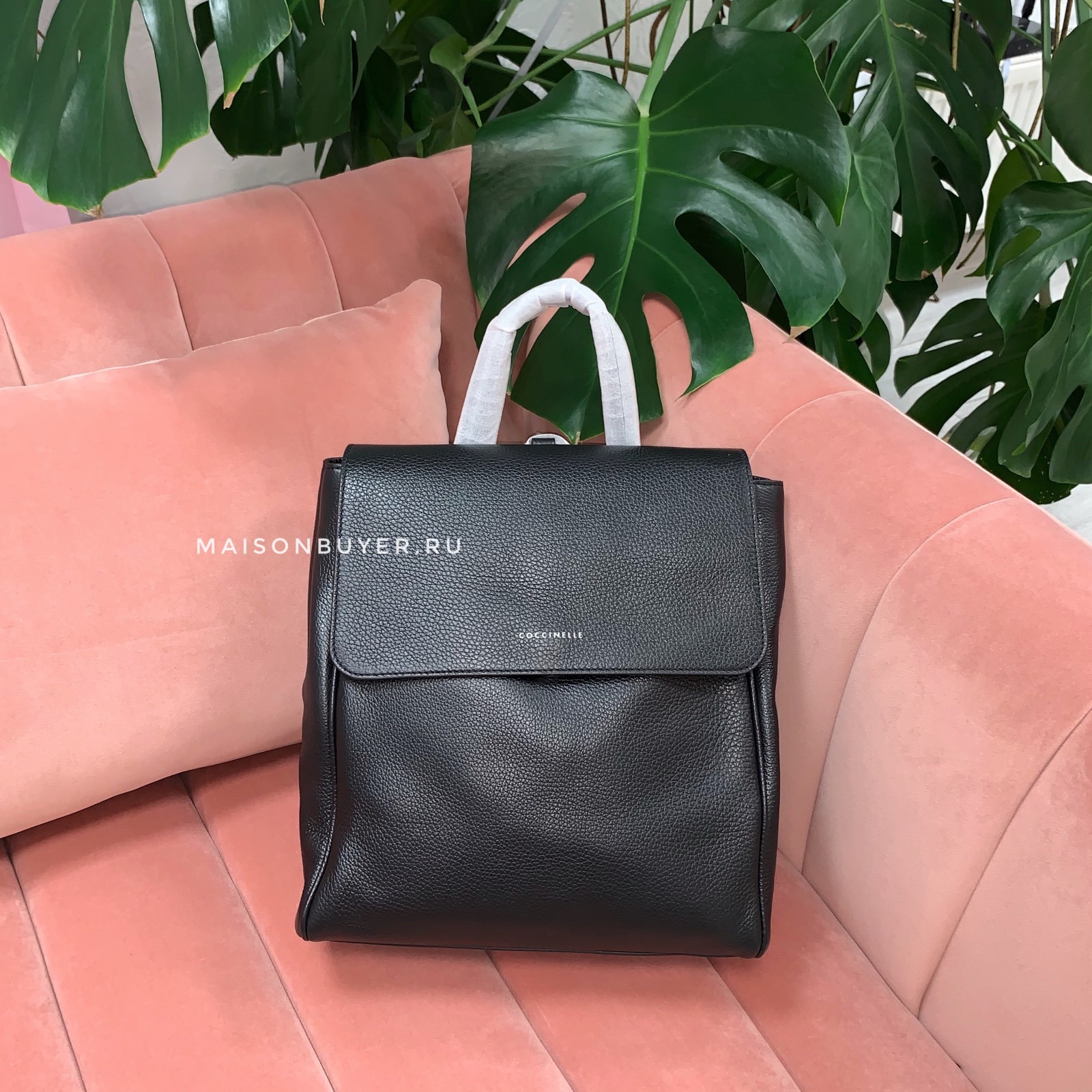 Coccinelle taylor backpack new arrivals