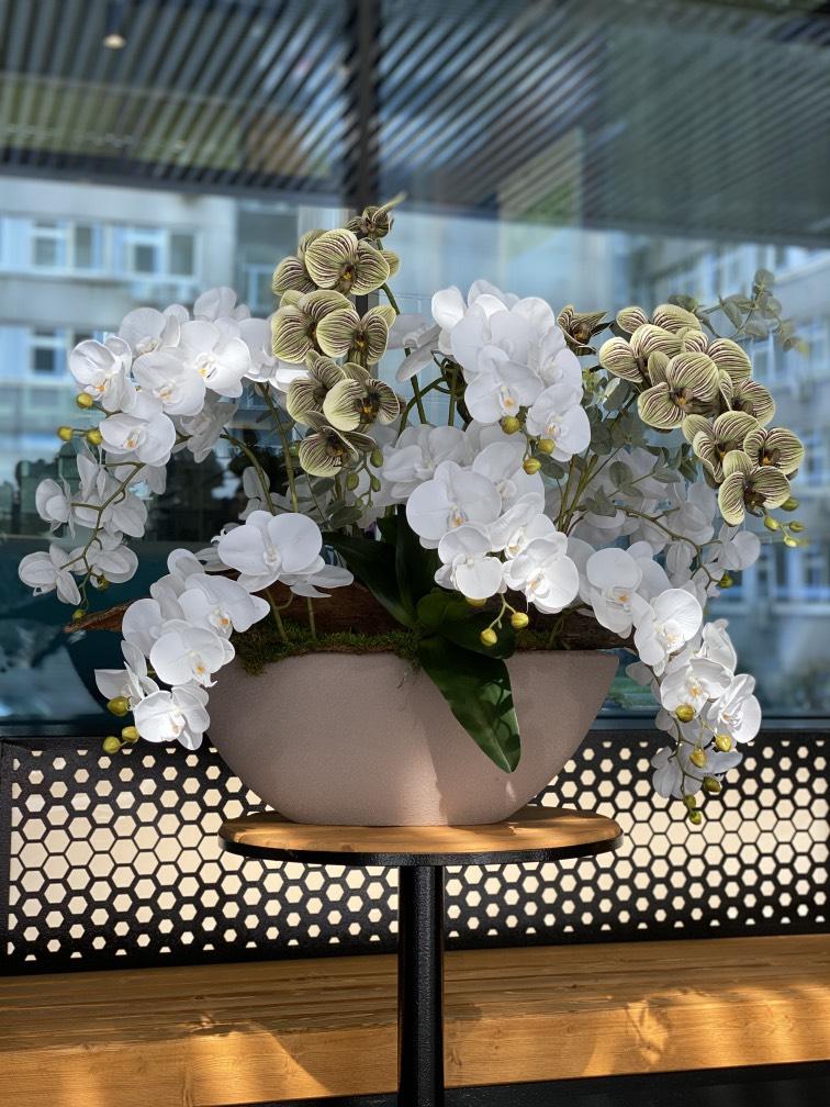 Орхидеи в интерьере: как освежить квартиру с помощью цветов