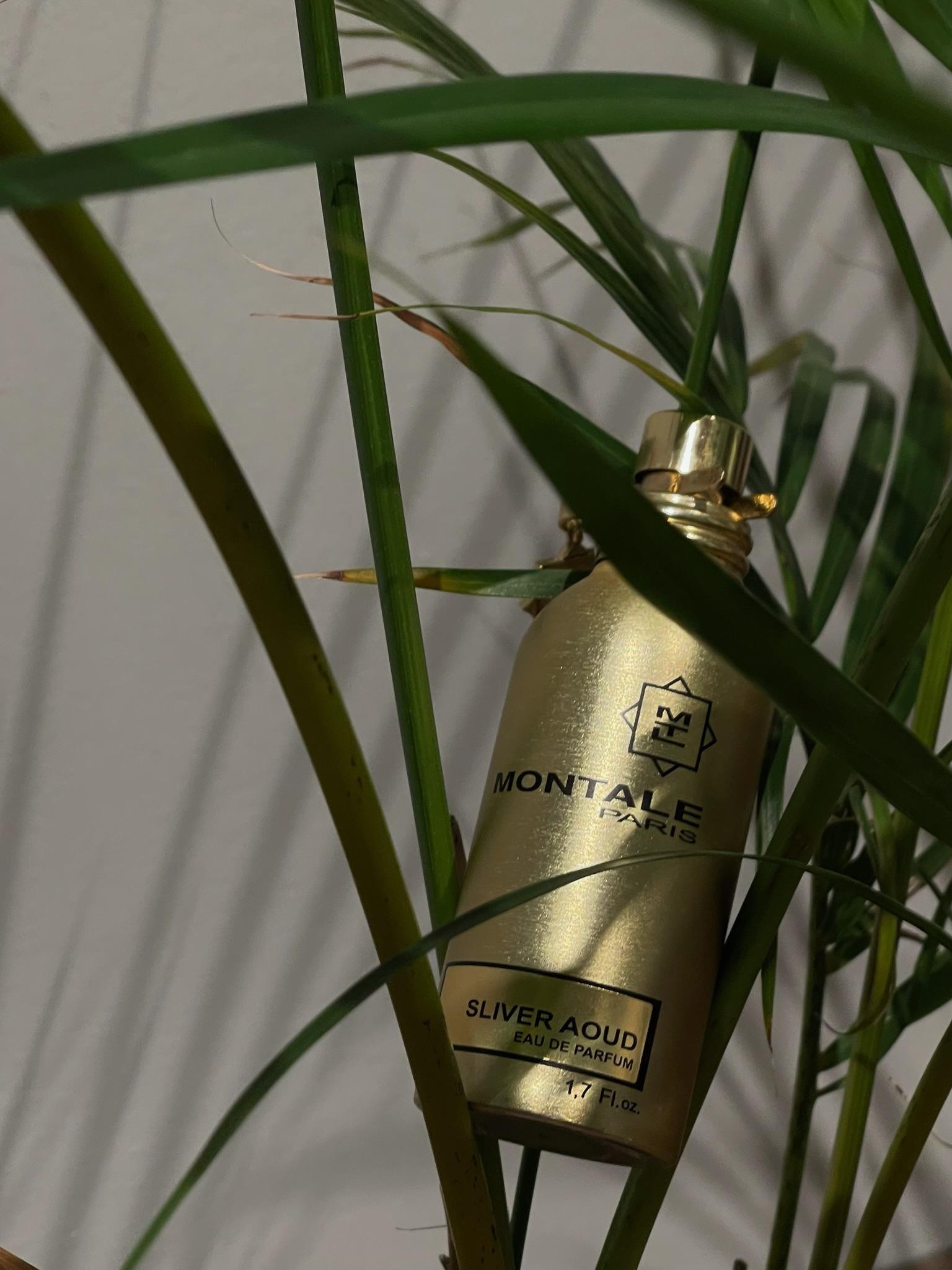 Montale Sliver Aoud