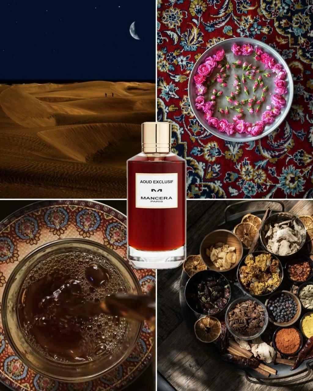 MANCERA aoud exclusif