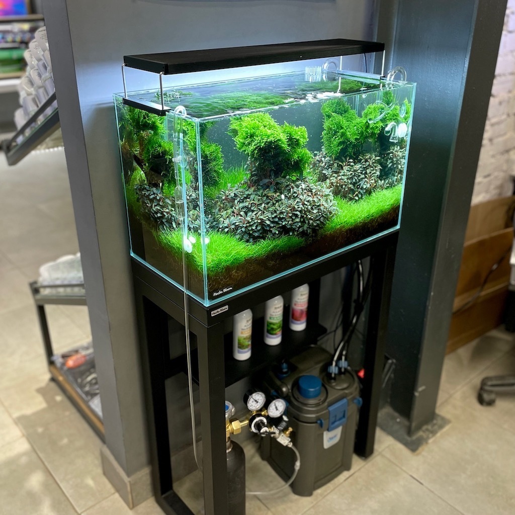 Изготовление аквариумов из стекла на заказ