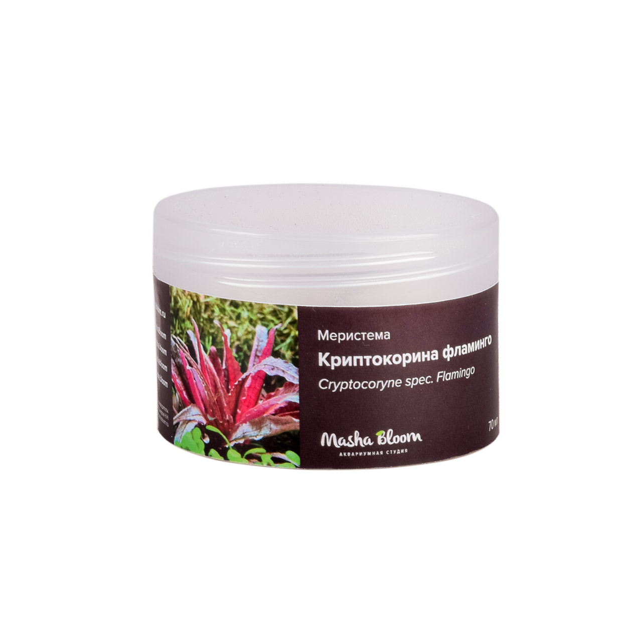 Меристема - растения для аквариума купить в Москве