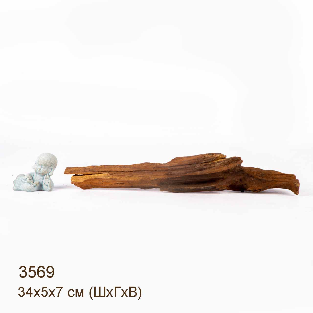 Коряги МАНГРОВЫЕ - XXS