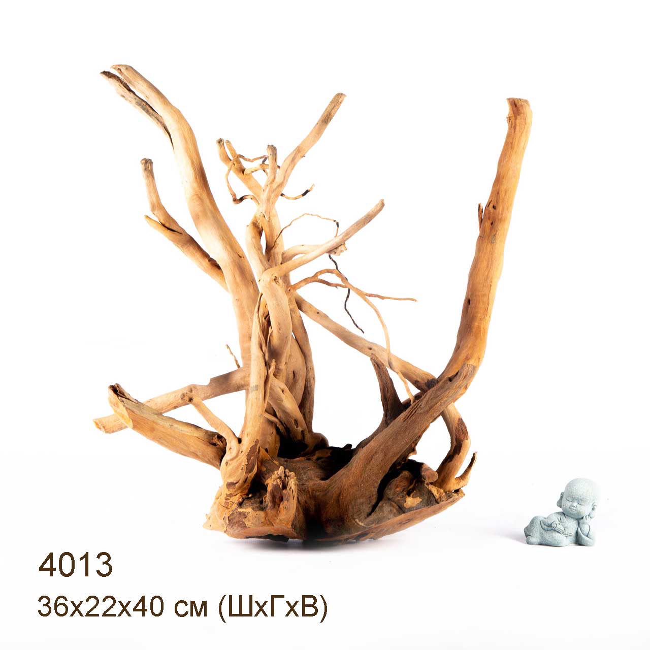 Коряги КОРЕНЬ АЗАЛИИ - XXL