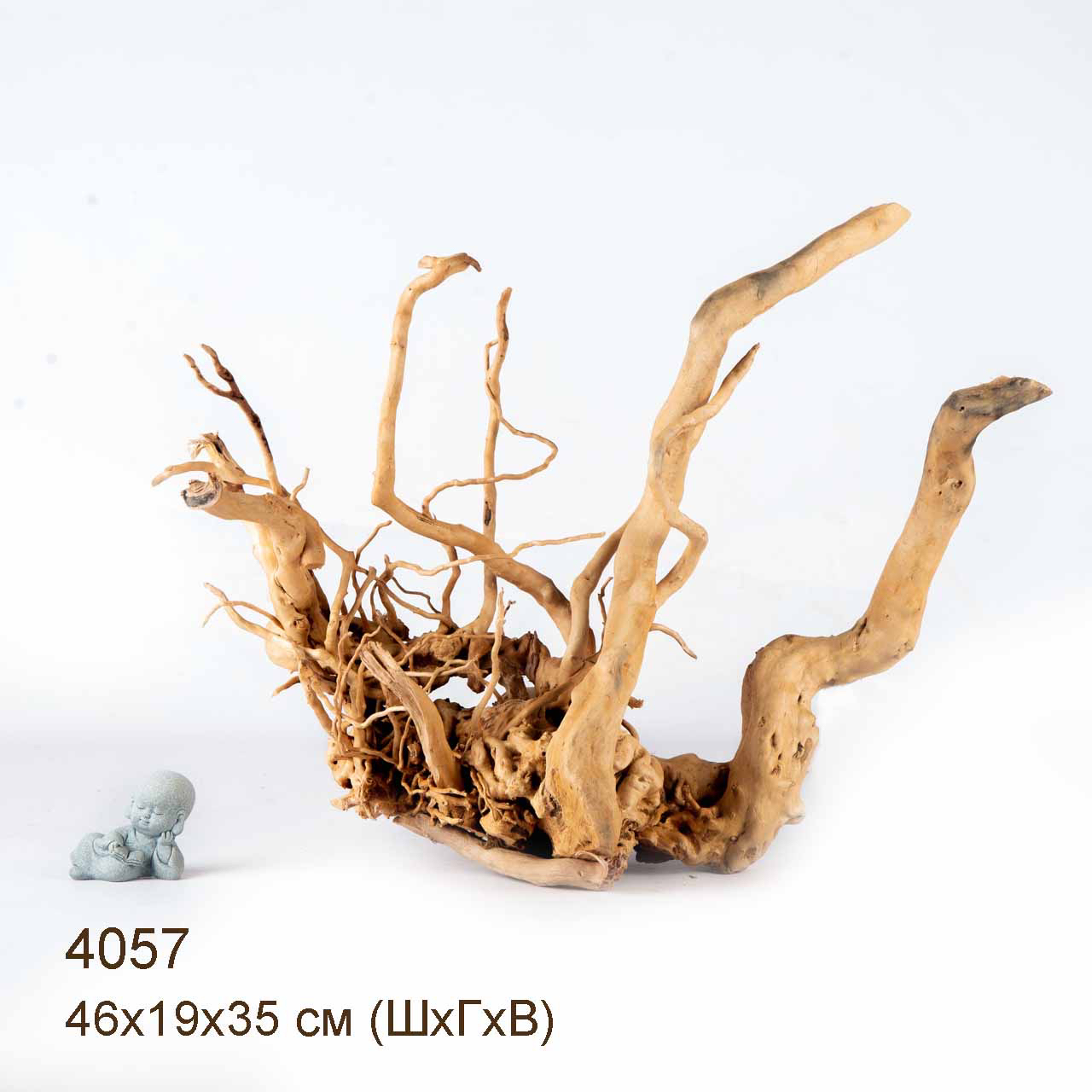 Коряги КОРЕНЬ АЗАЛИИ - XXL