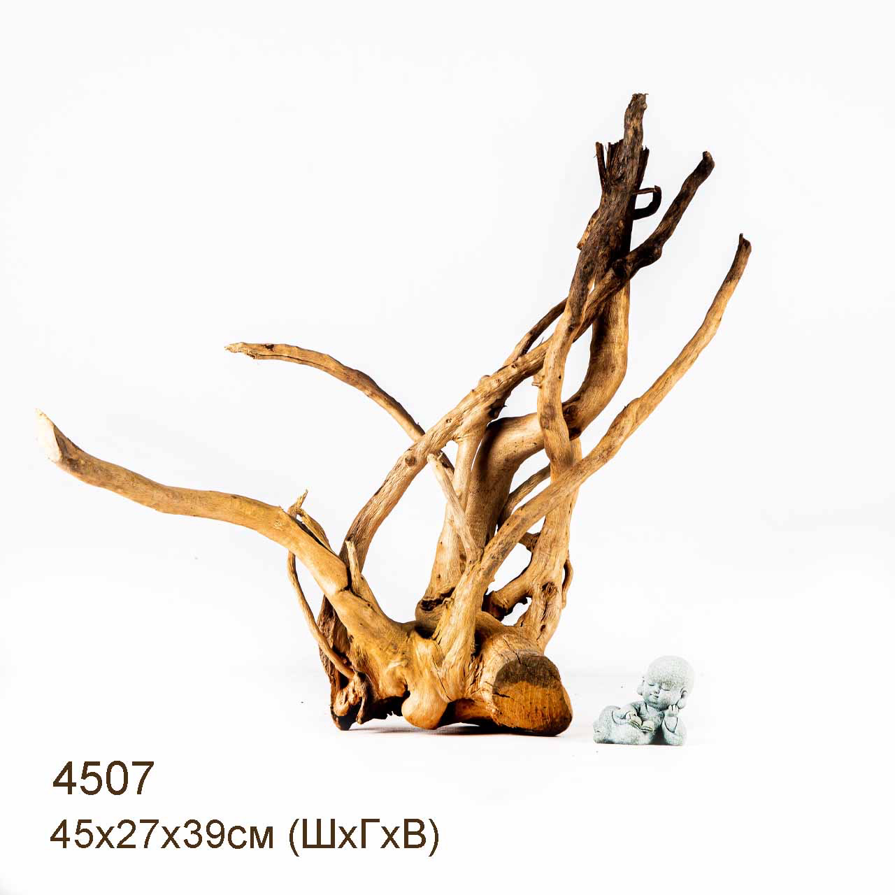 Коряги КОРЕНЬ АЗАЛИИ - L > Коряга MASHA BLOOM Корень азалии L - 4292 ...