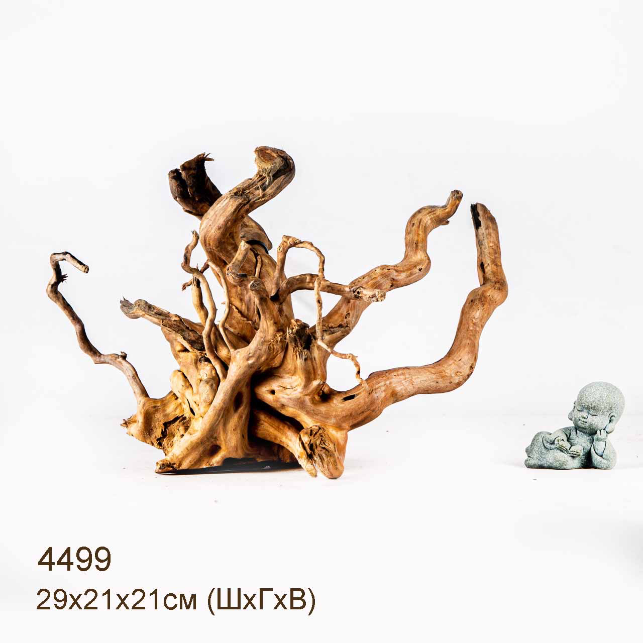 Коряги КОРЕНЬ АЗАЛИИ - L > Коряга MASHA BLOOM Корень азалии L - 4356 ...