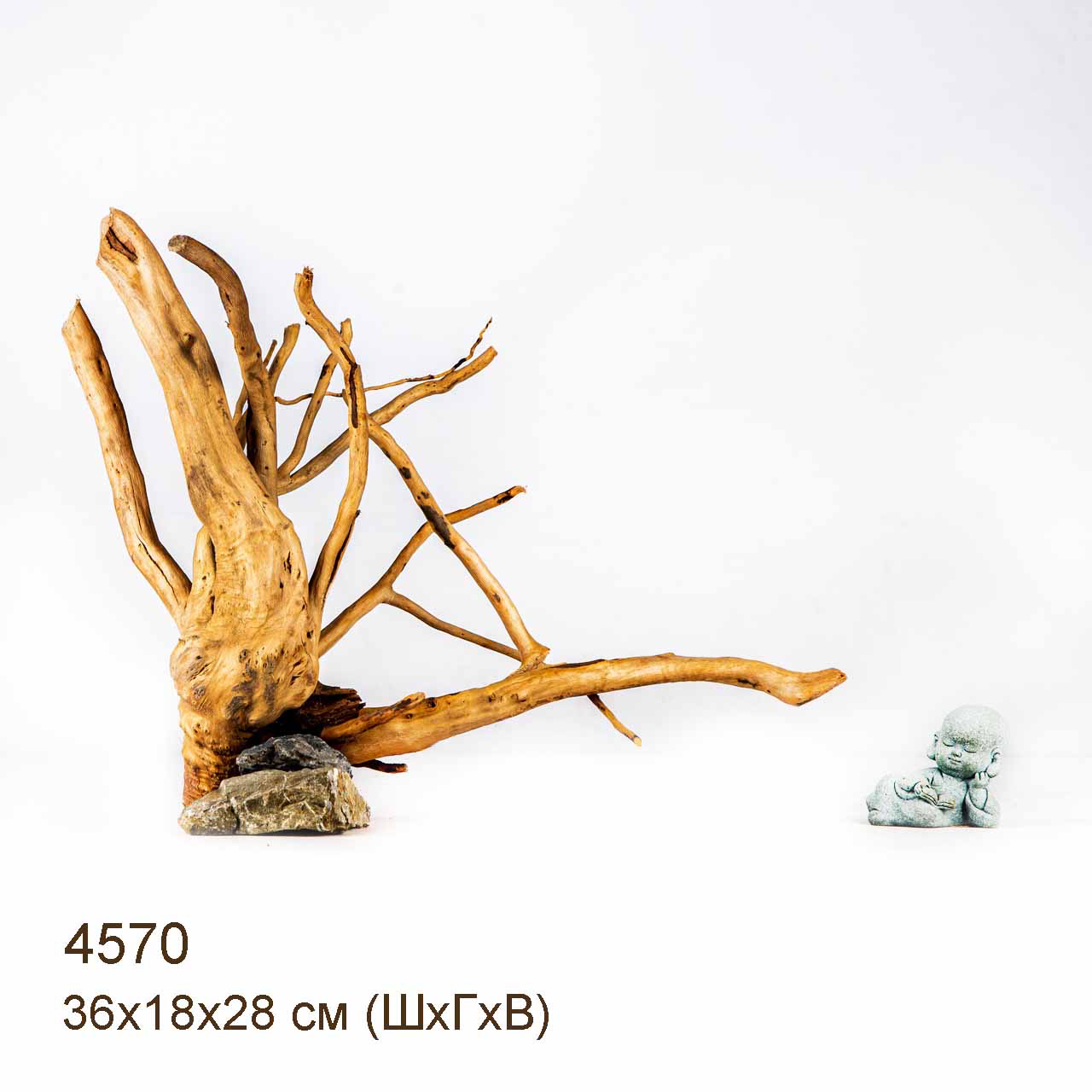 Коряги КОРЕНЬ АЗАЛИИ - M > Коряга MASHA BLOOM Корень азалии M - 4534 ...