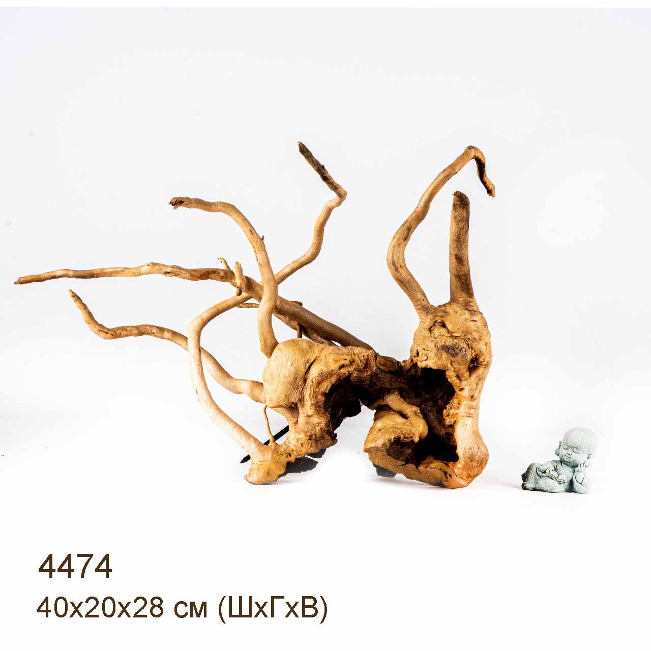 Коряги КОРЕНЬ АЗАЛИИ - L > Коряга MASHA BLOOM Корень азалии L - 4379 ...