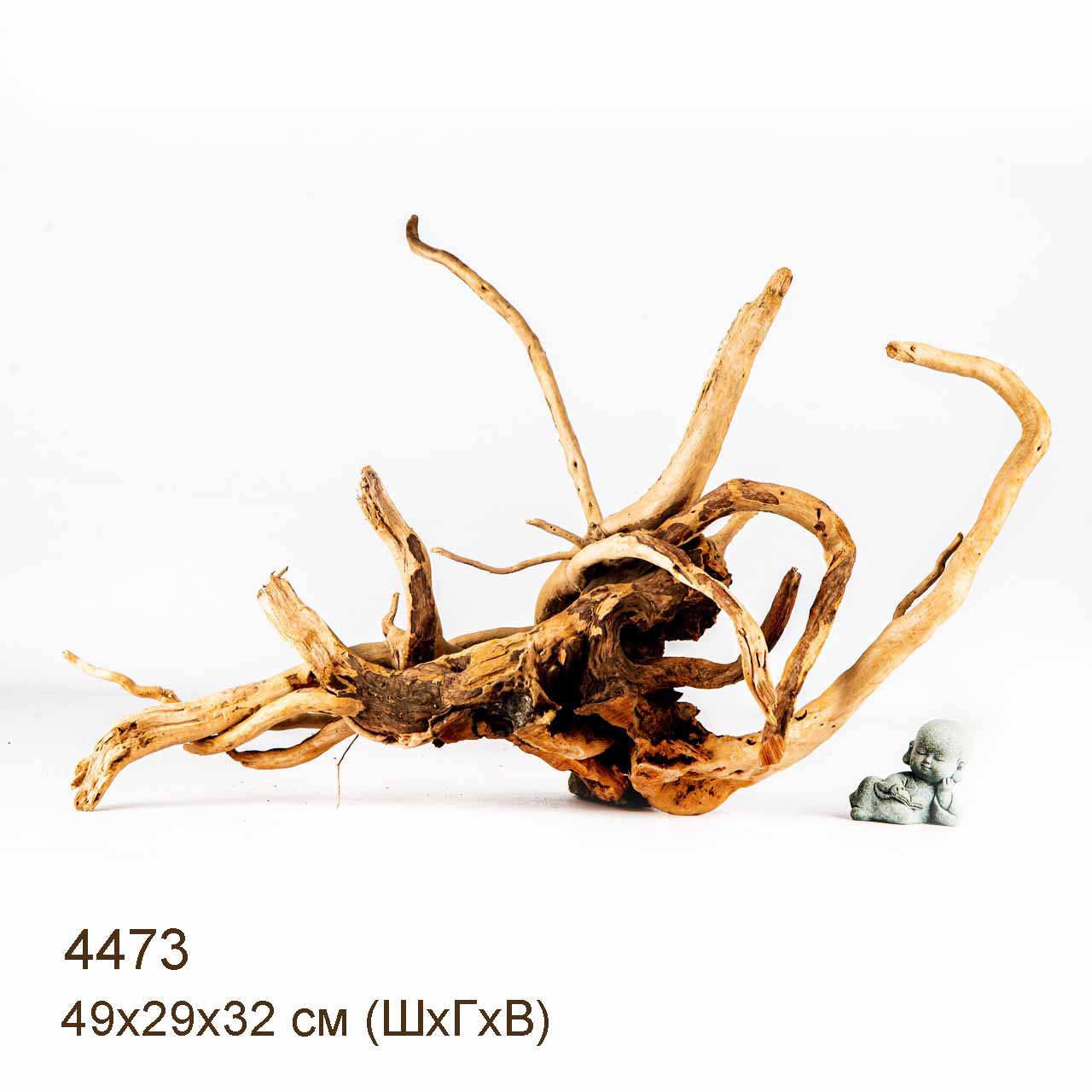 Коряги КОРЕНЬ АЗАЛИИ - L > Коряга MASHA BLOOM Корень азалии L - 4304 ...