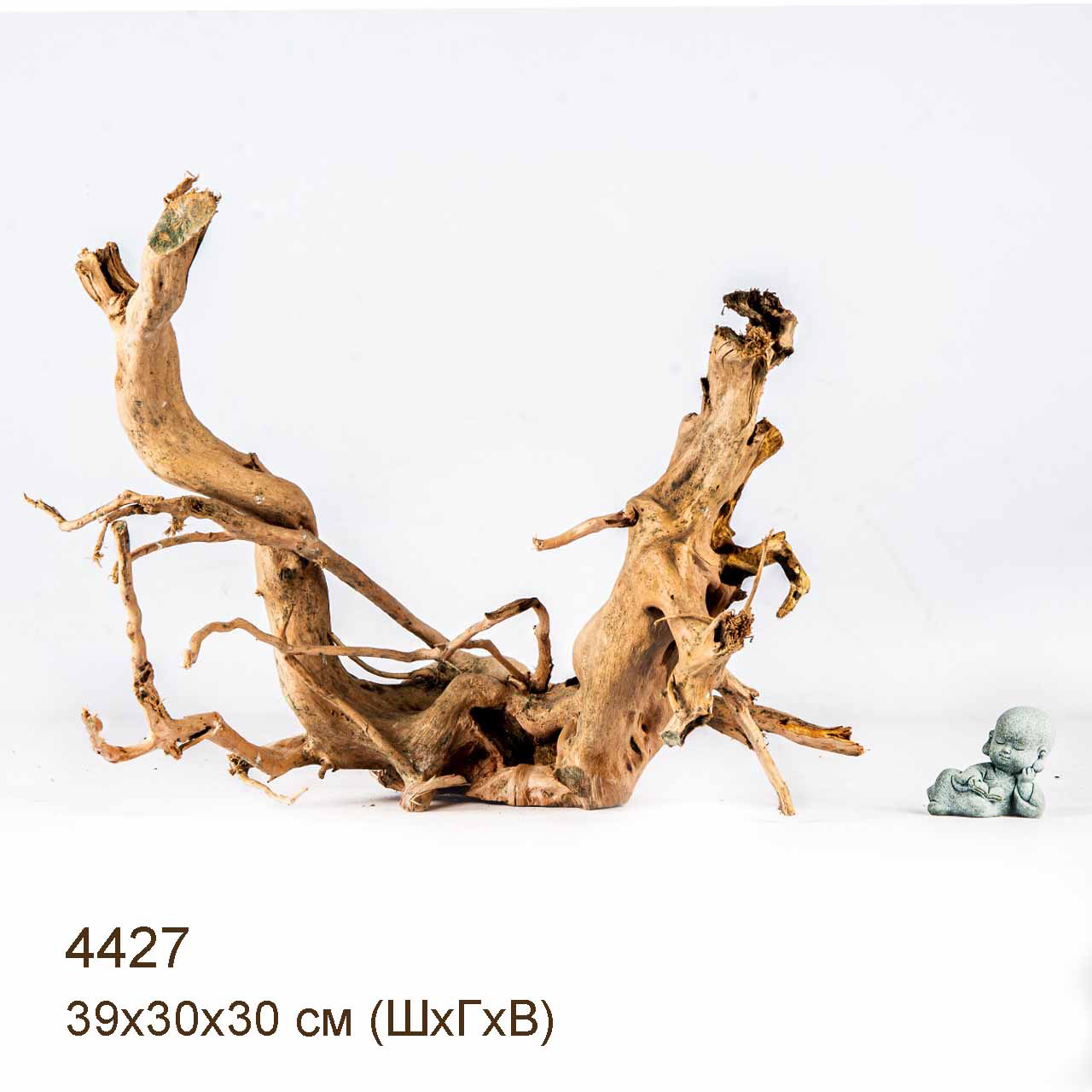 Коряги КОРЕНЬ АЗАЛИИ - L > Коряга MASHA BLOOM Корень азалии L - 4440 ...