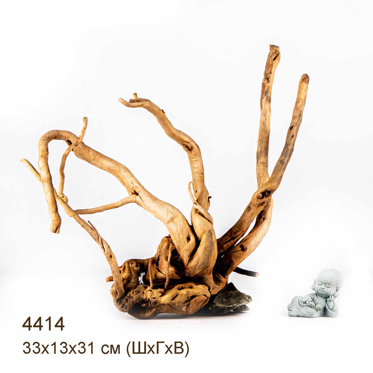 Коряги КОРЕНЬ АЗАЛИИ - L > Коряга MASHA BLOOM Корень азалии L - 4349 ...