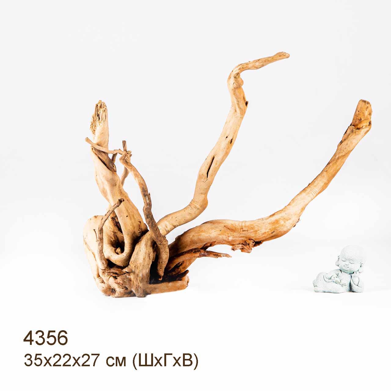 Коряги КОРЕНЬ АЗАЛИИ - L > Коряга MASHA BLOOM Корень азалии L - 4384 ...