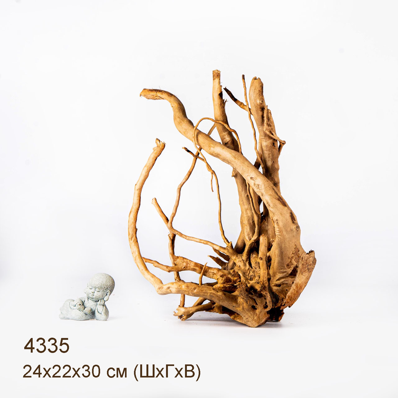 Коряги КОРЕНЬ АЗАЛИИ - L > Коряга MASHA BLOOM Корень азалии L - 4485 ...