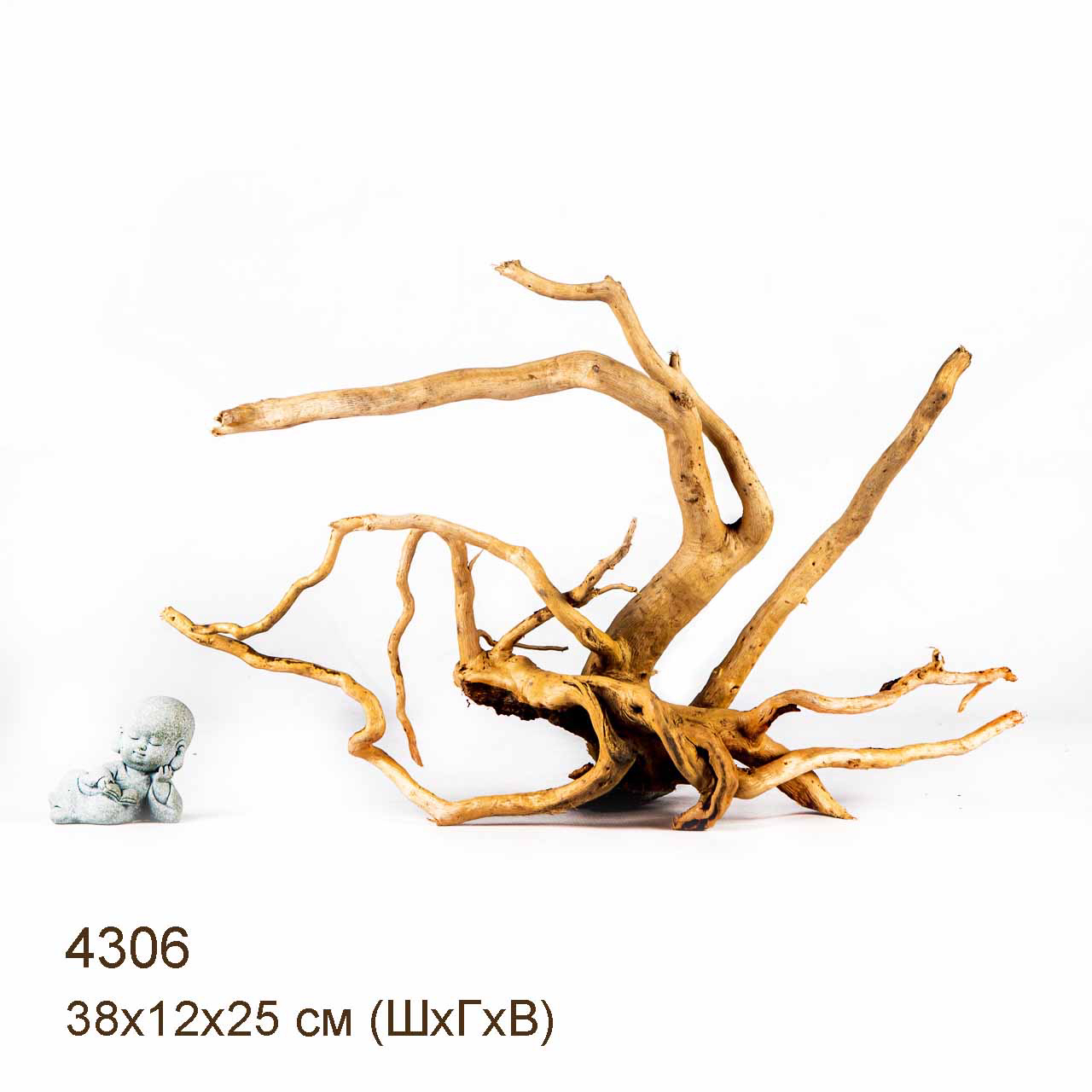 Коряги КОРЕНЬ АЗАЛИИ - L > Коряга MASHA BLOOM Корень азалии L - 4396 ...