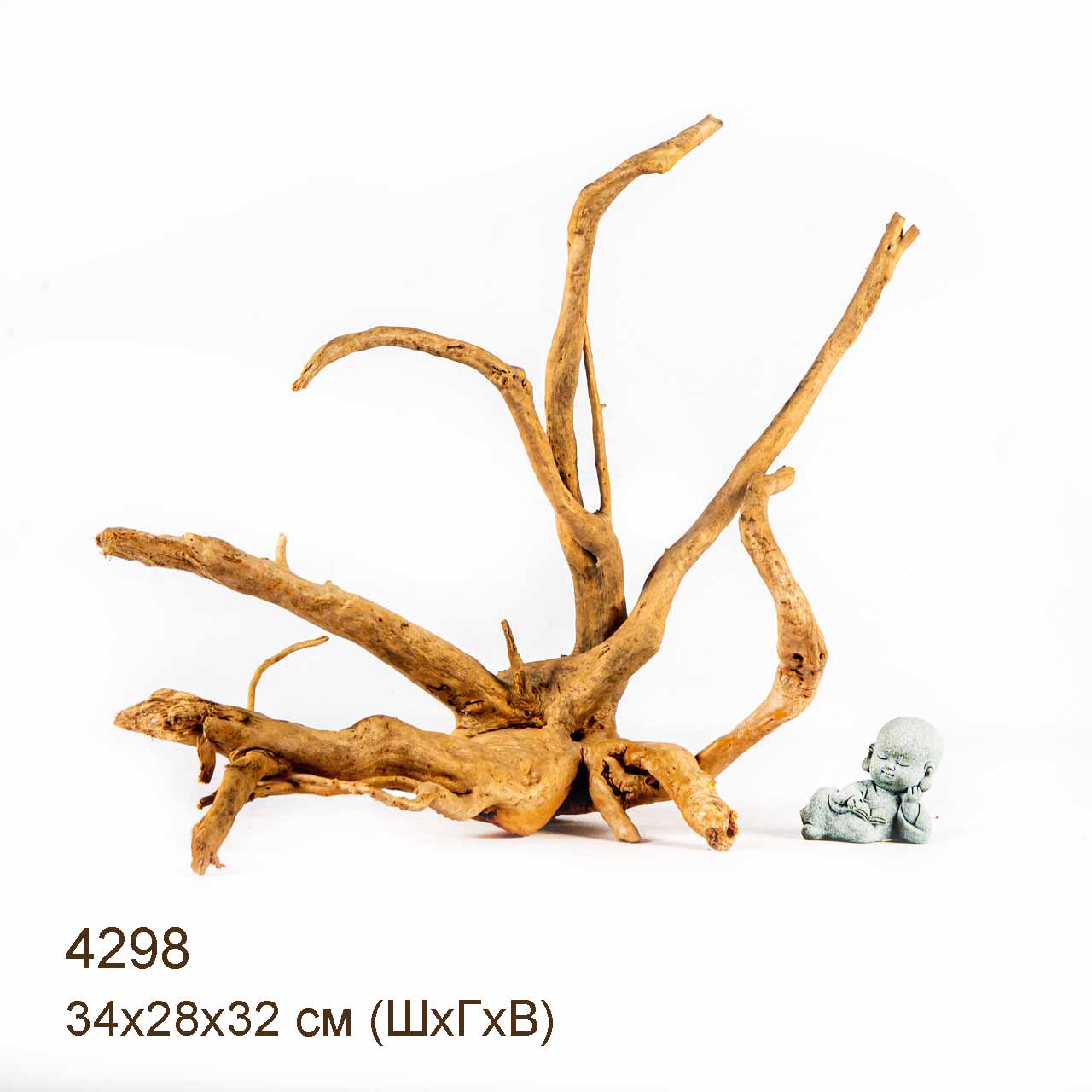 Коряги КОРЕНЬ АЗАЛИИ - L