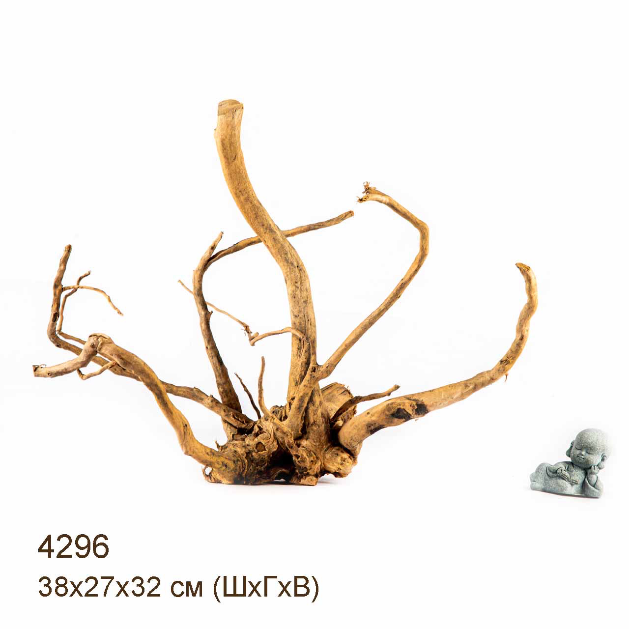 Коряги КОРЕНЬ АЗАЛИИ - L