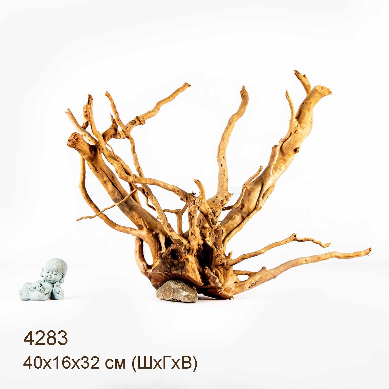 Коряги КОРЕНЬ АЗАЛИИ - L