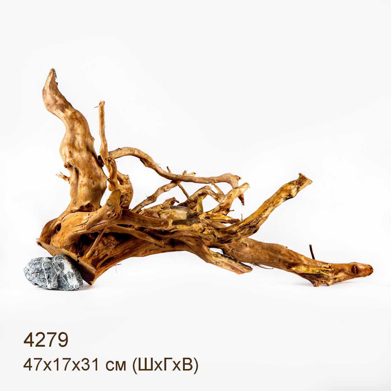 Коряги КОРЕНЬ АЗАЛИИ - L