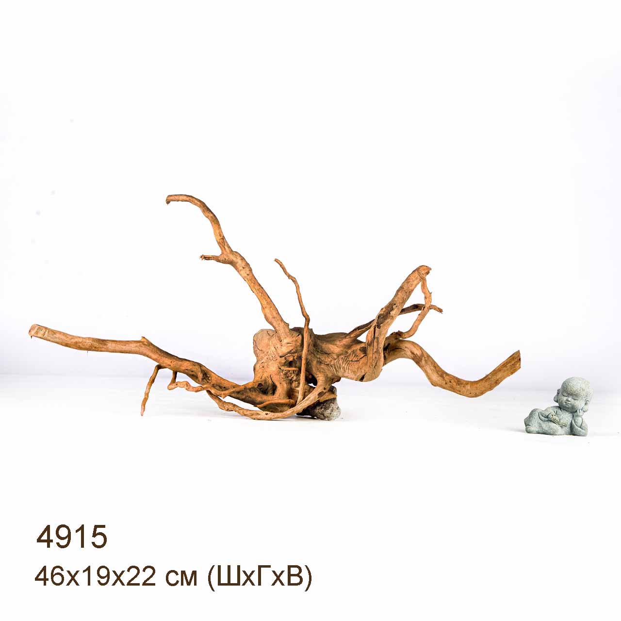 Коряги КОРЕНЬ АЗАЛИИ - S > Коряга MASHA BLOOM Корень азалии S - 4925 ...