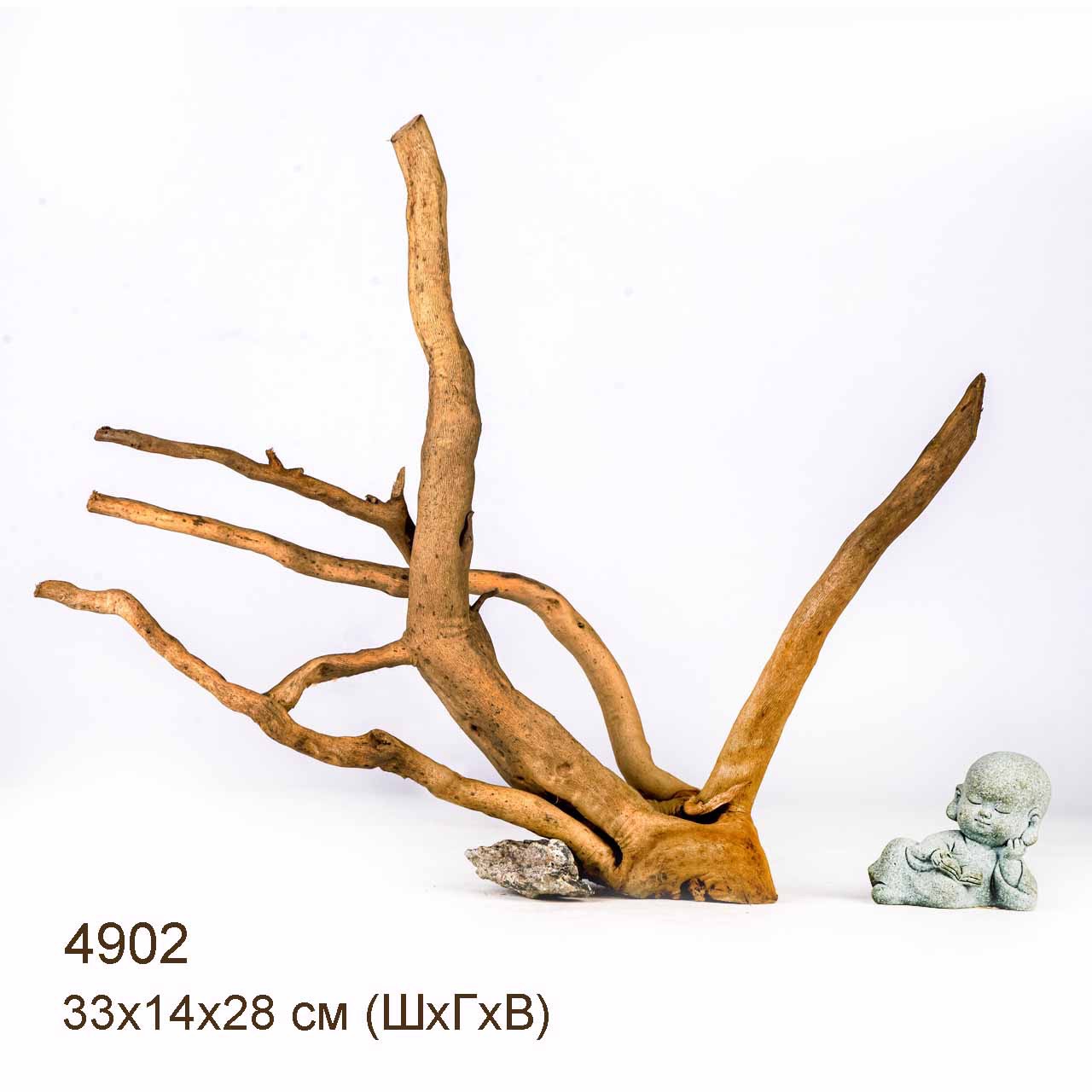 Коряги КОРЕНЬ АЗАЛИИ - S > Коряга MASHA BLOOM Корень азалии S - 4875 ...