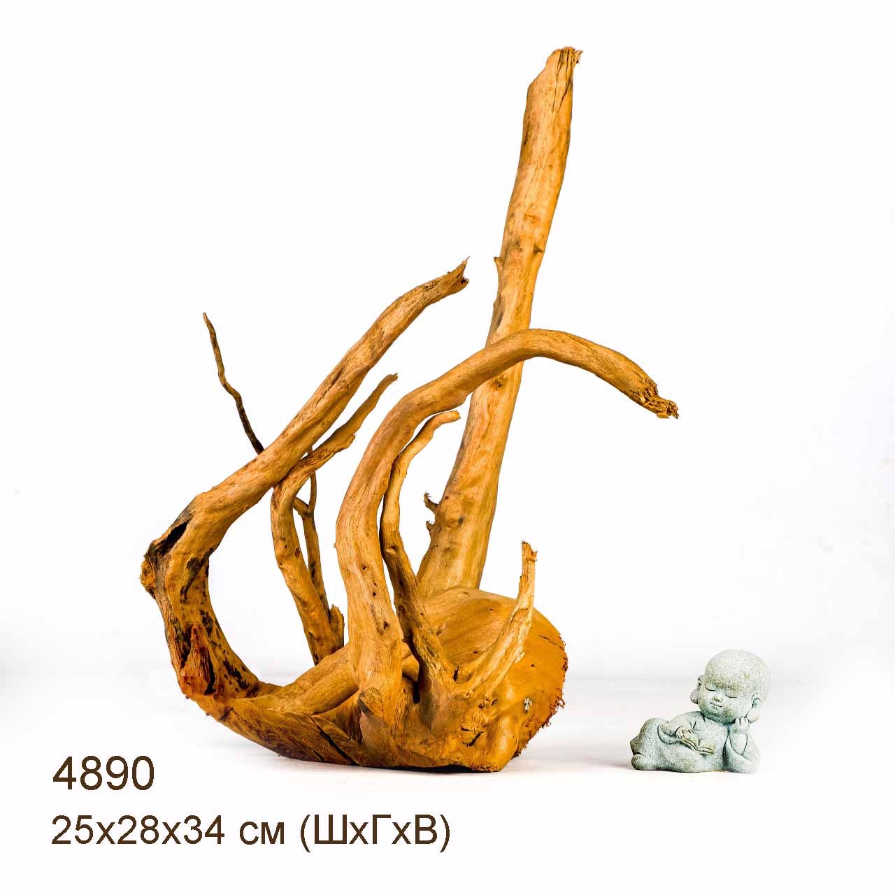 Коряги КОРЕНЬ АЗАЛИИ - S