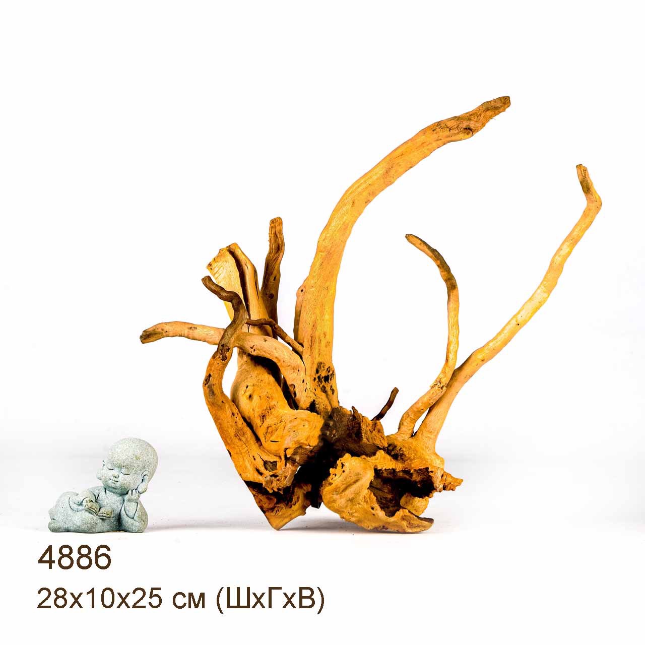 Коряги КОРЕНЬ АЗАЛИИ - S