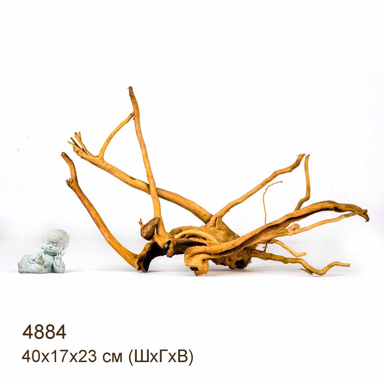 Коряги КОРЕНЬ АЗАЛИИ - S