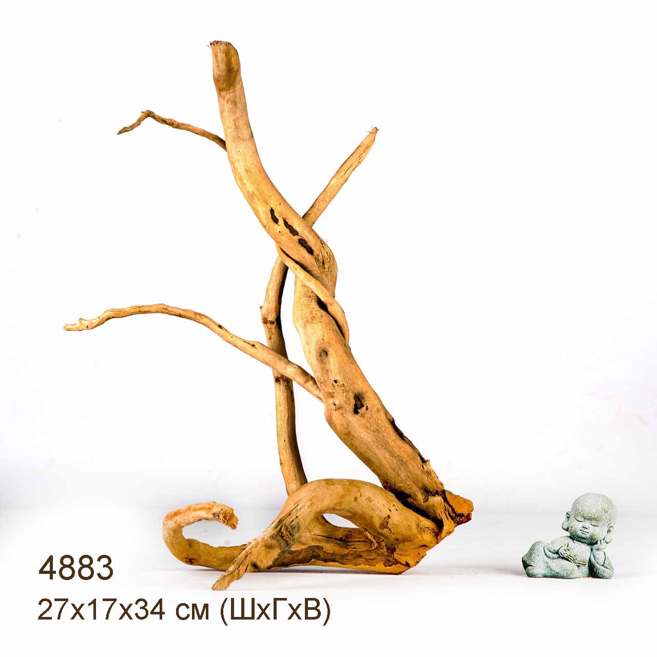 Коряги КОРЕНЬ АЗАЛИИ - S