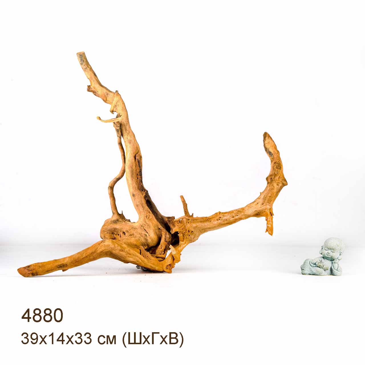 Коряги КОРЕНЬ АЗАЛИИ - S