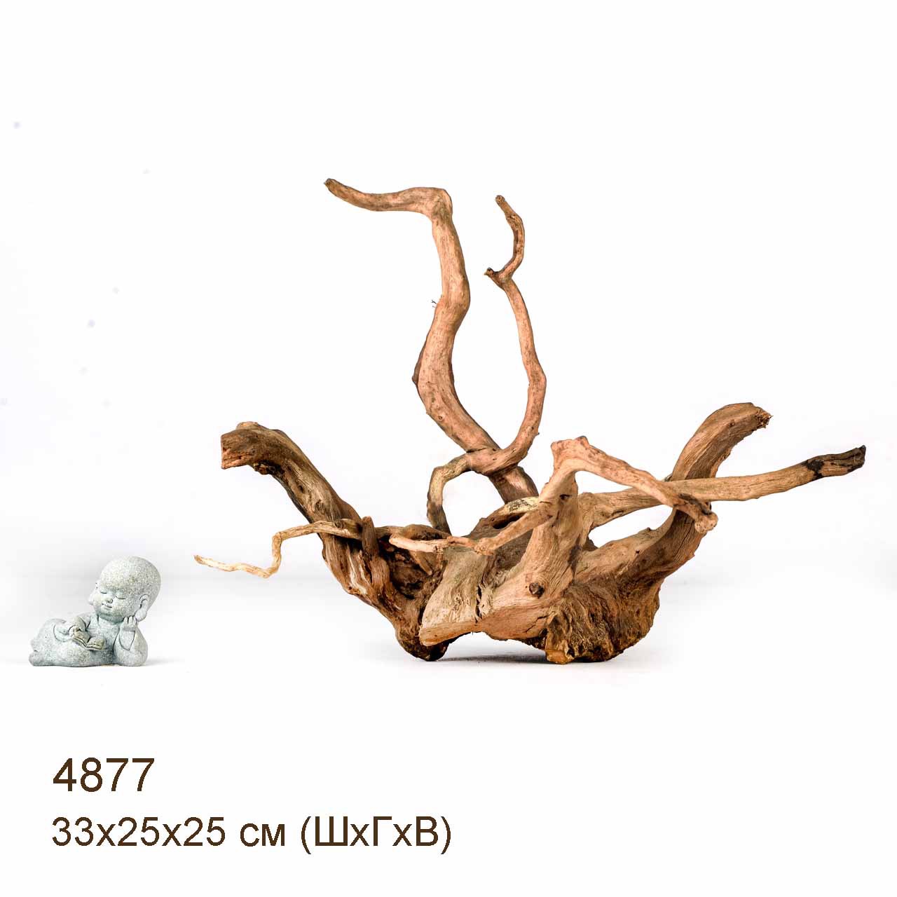 Коряги КОРЕНЬ АЗАЛИИ - S