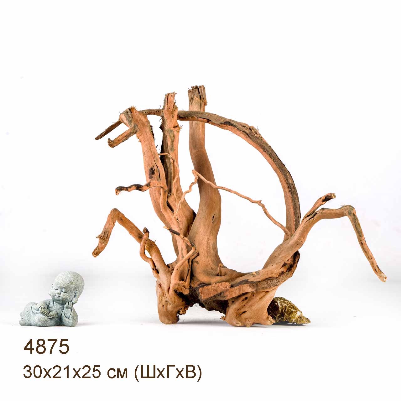 Коряги КОРЕНЬ АЗАЛИИ - S